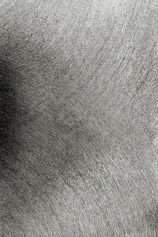 Silver Pattern Stella